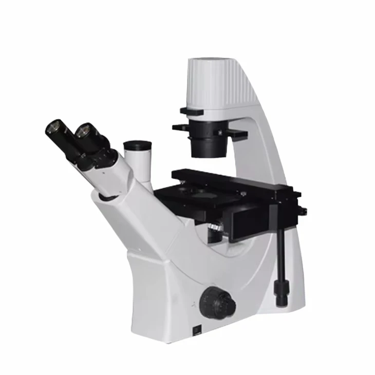 Inverted Biological Microscope